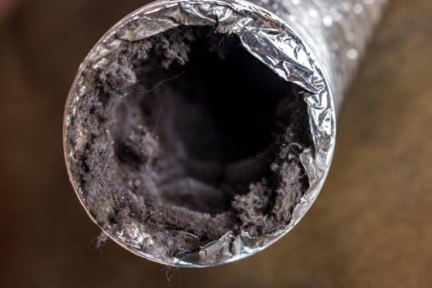 Best HVAC Air Duct Cleaning  in Coker, AL